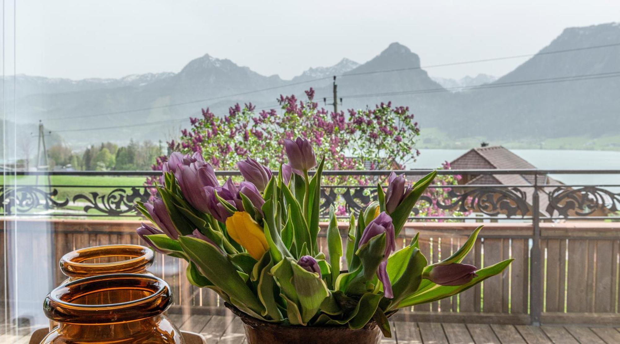 Апартаменти The View Sankt Wolfgang im Salzkammergut Екстер'єр фото